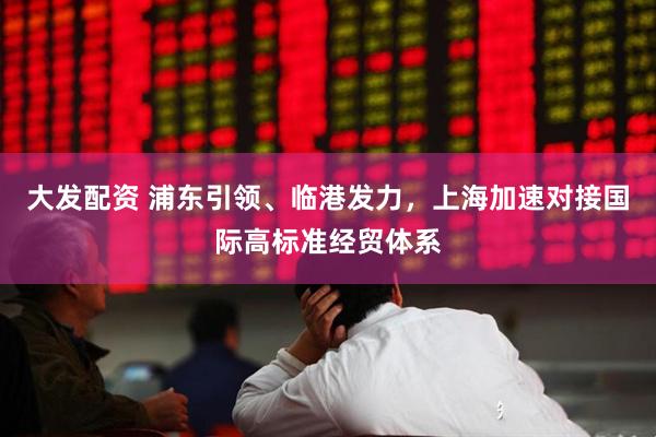 大发配资 浦东引领、临港发力，上海加速对接国际高标准经贸体系
